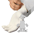 GRDR Latex Glove